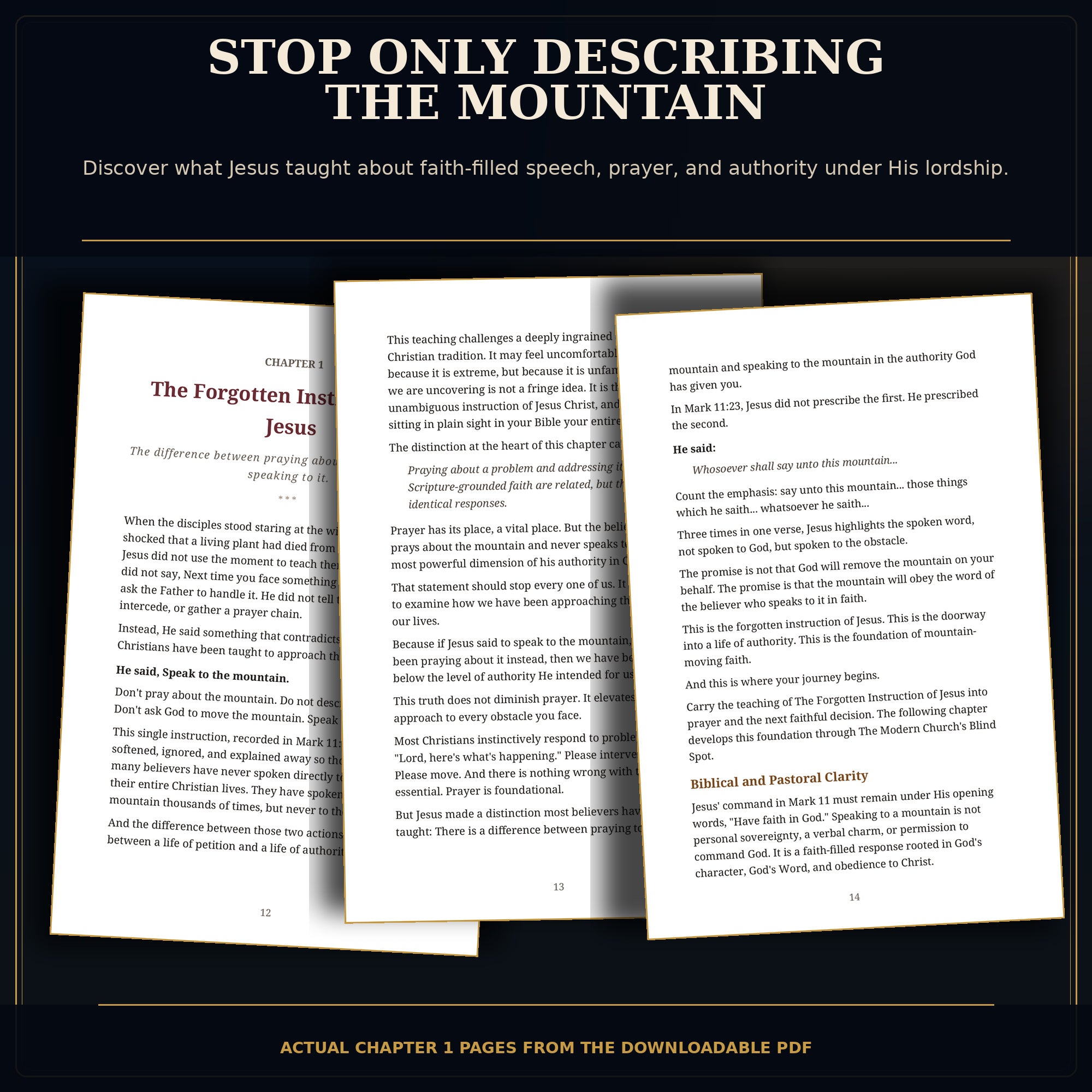 Speak to the Mountain Bundle | Teaching Book + 90-Day Prayer Journal