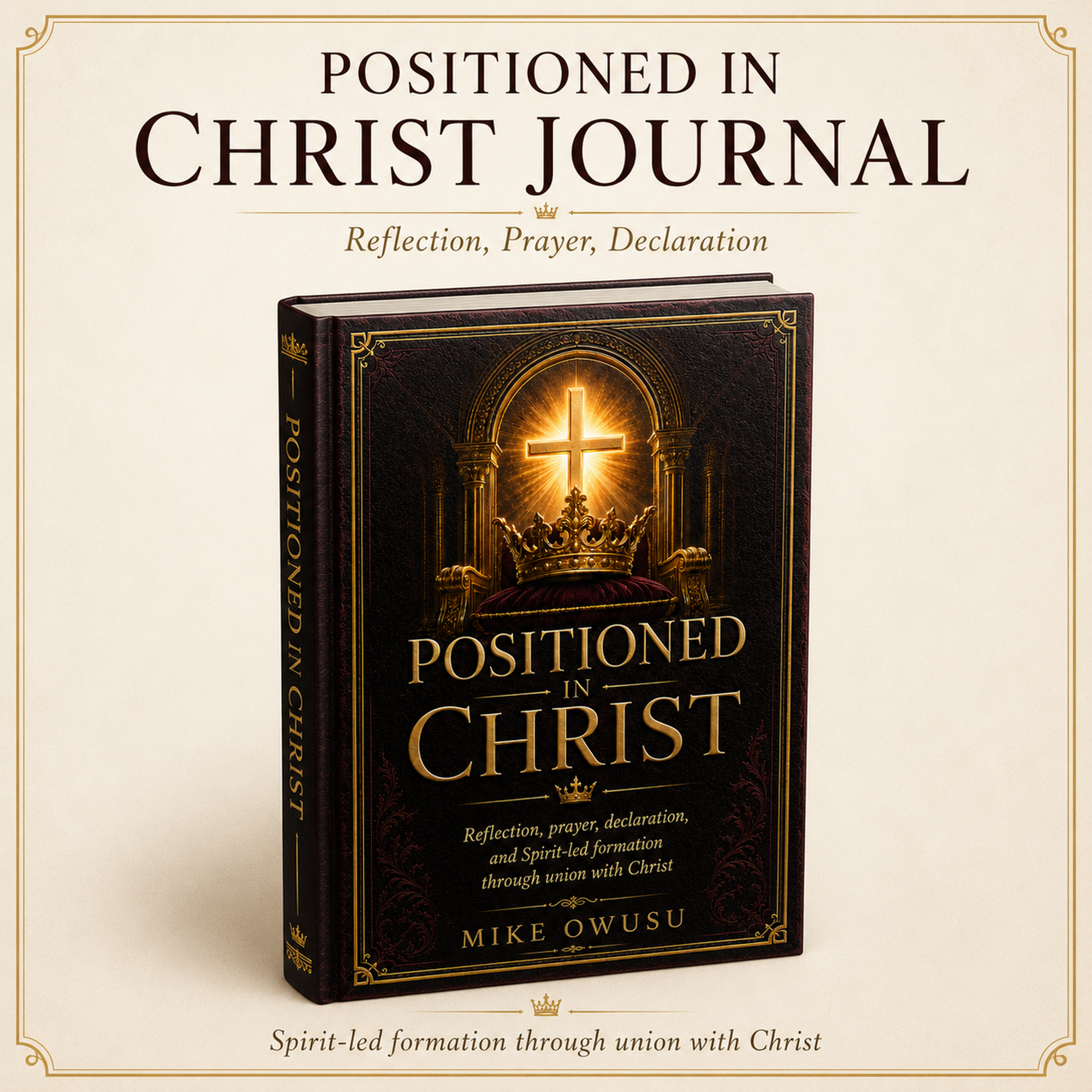 Positioned in Christ Devotional & Journal Bundle