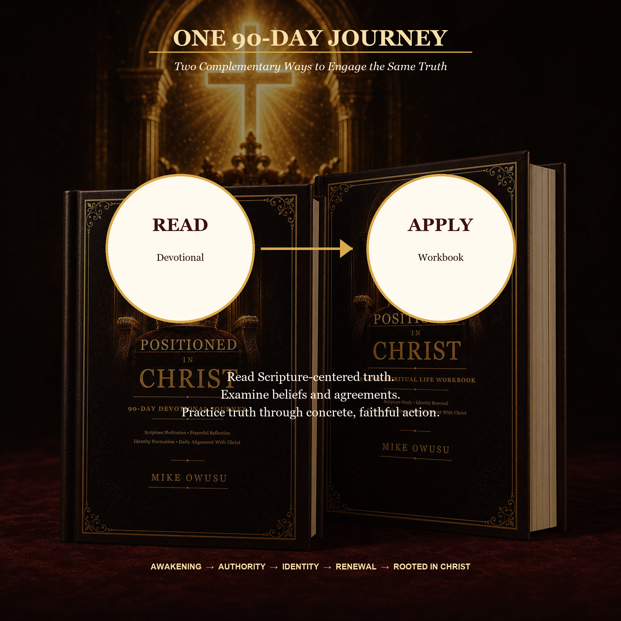 Positioned in Christ Devotional & Workbook Bundle