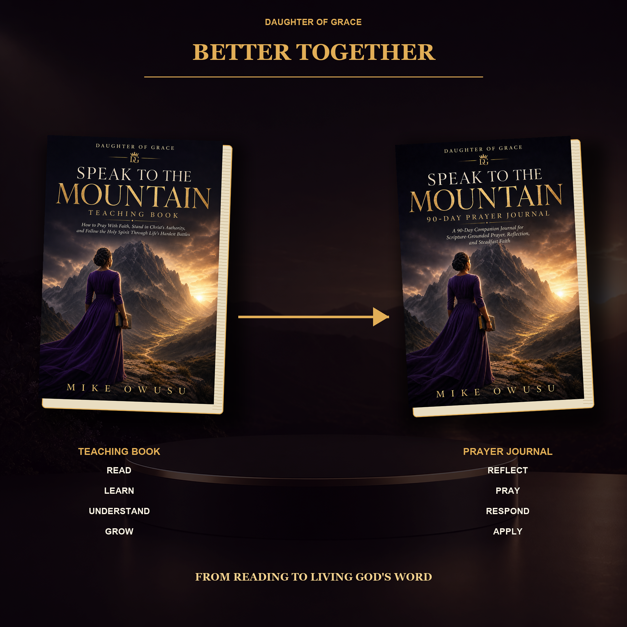 Speak to the Mountain Bundle | Teaching Book + 90-Day Prayer Journal