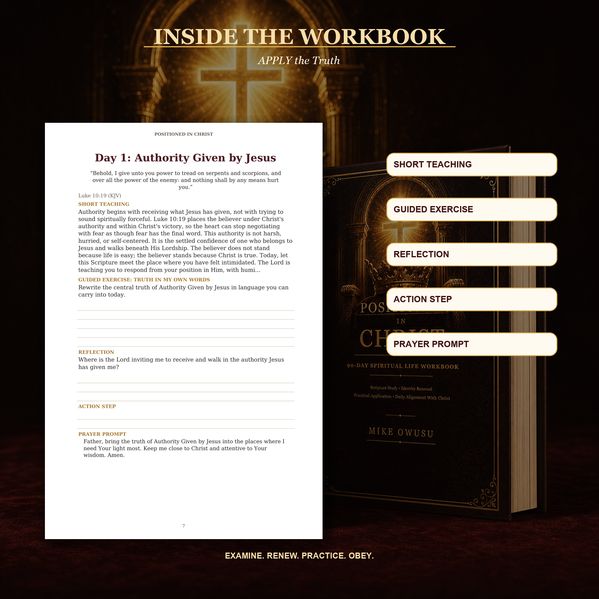 Positioned in Christ Devotional & Workbook Bundle