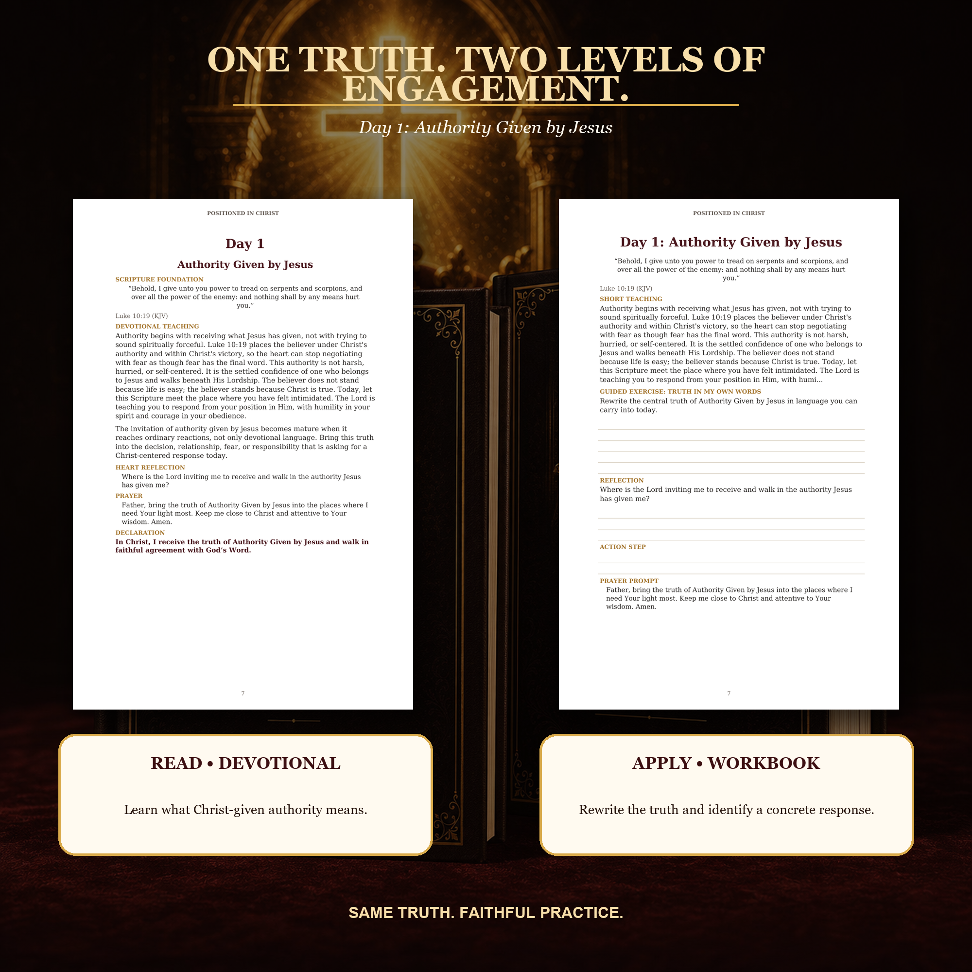 Positioned in Christ Devotional & Workbook Bundle