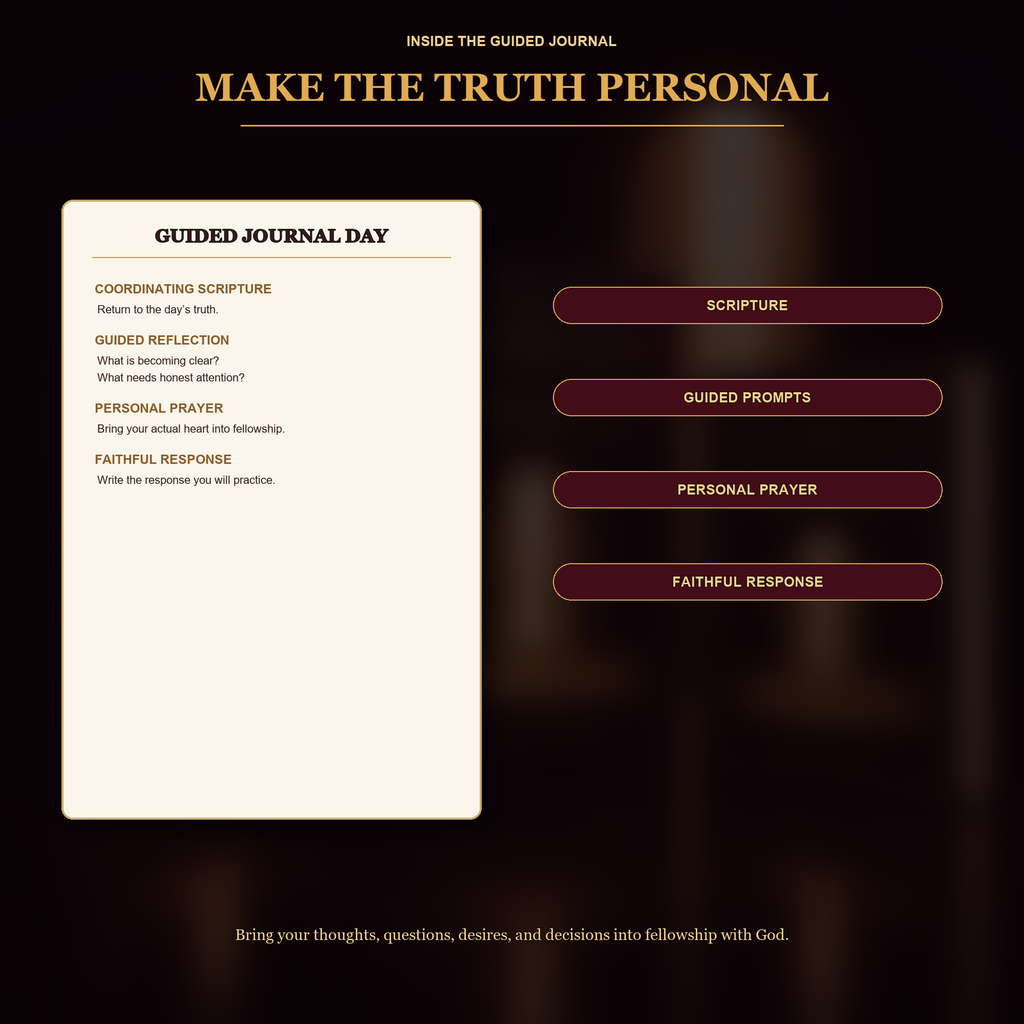 Abundance of Grace — Foundation & Formation Bundle | eBook + 90-Day Devotional + Guided Journal