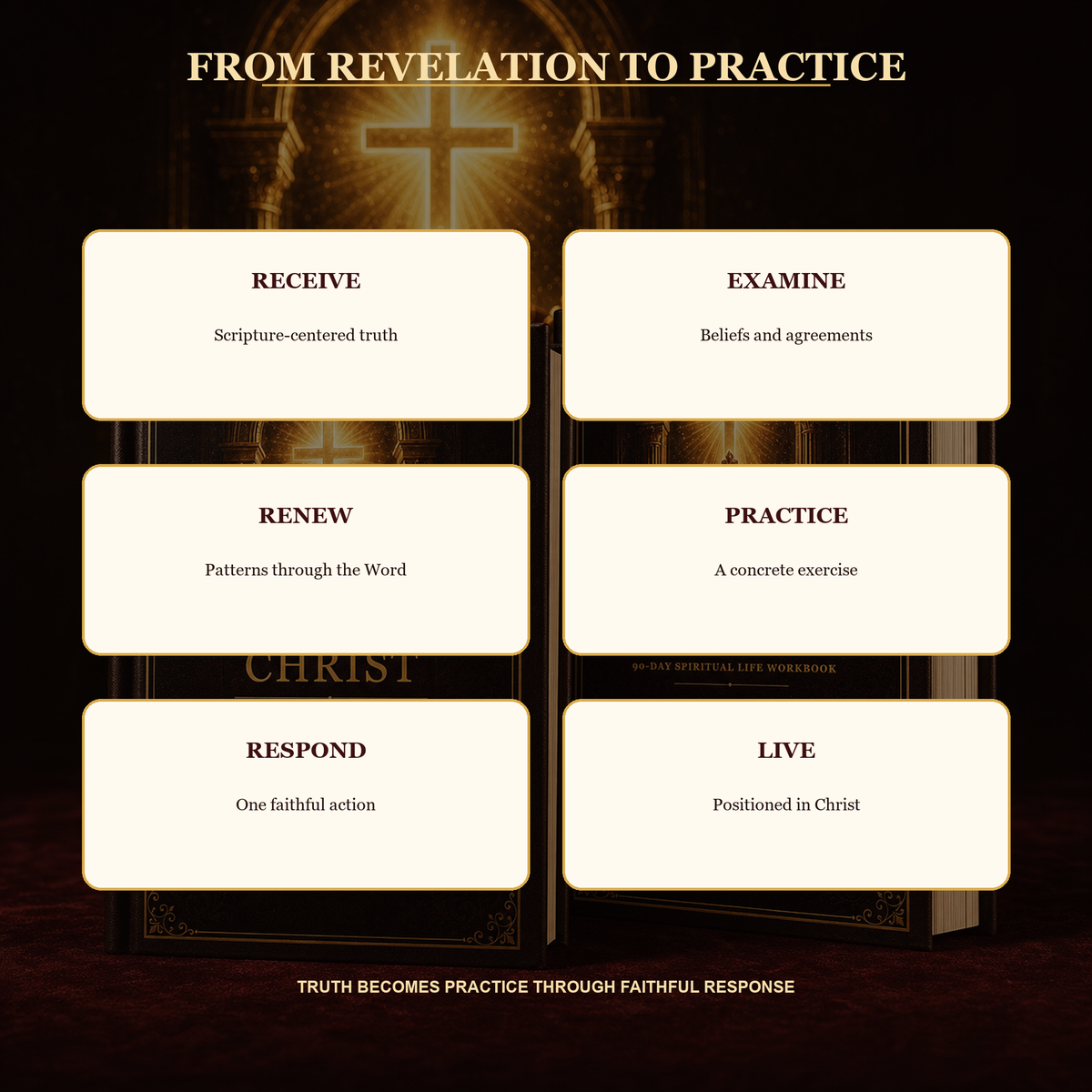 Positioned in Christ Devotional & Workbook Bundle