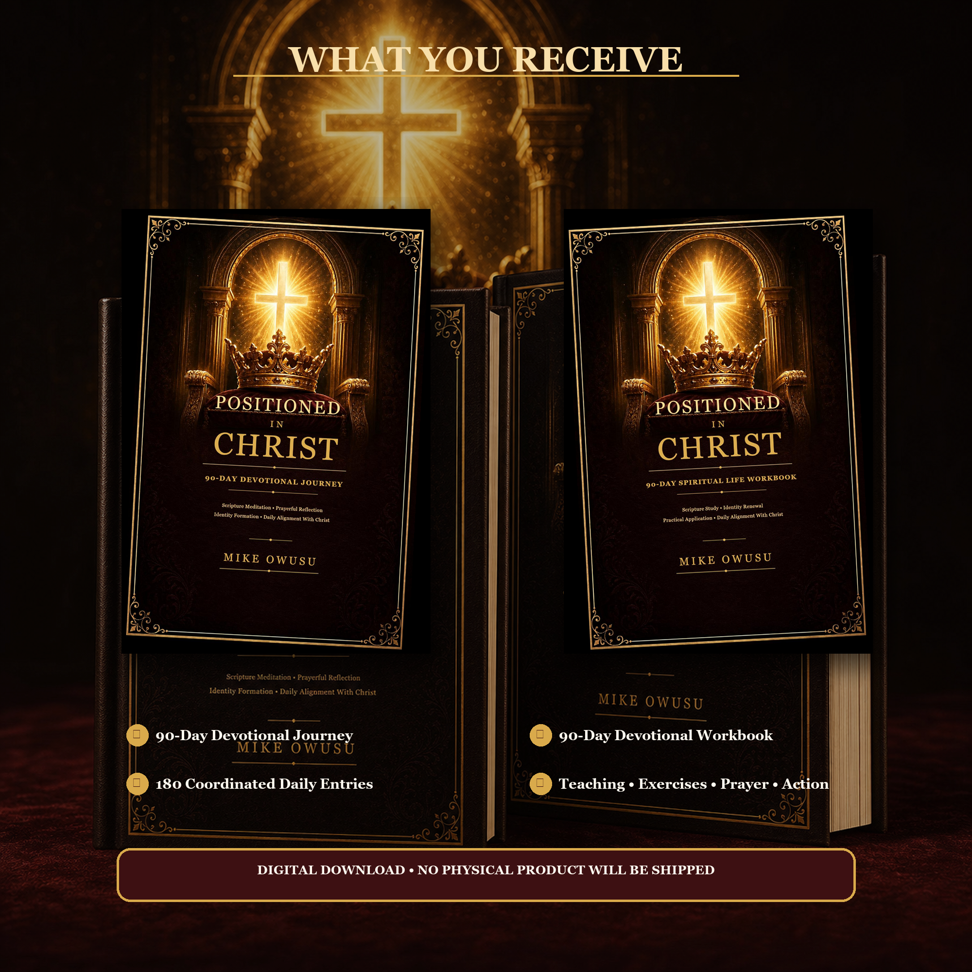 Positioned in Christ Devotional & Workbook Bundle