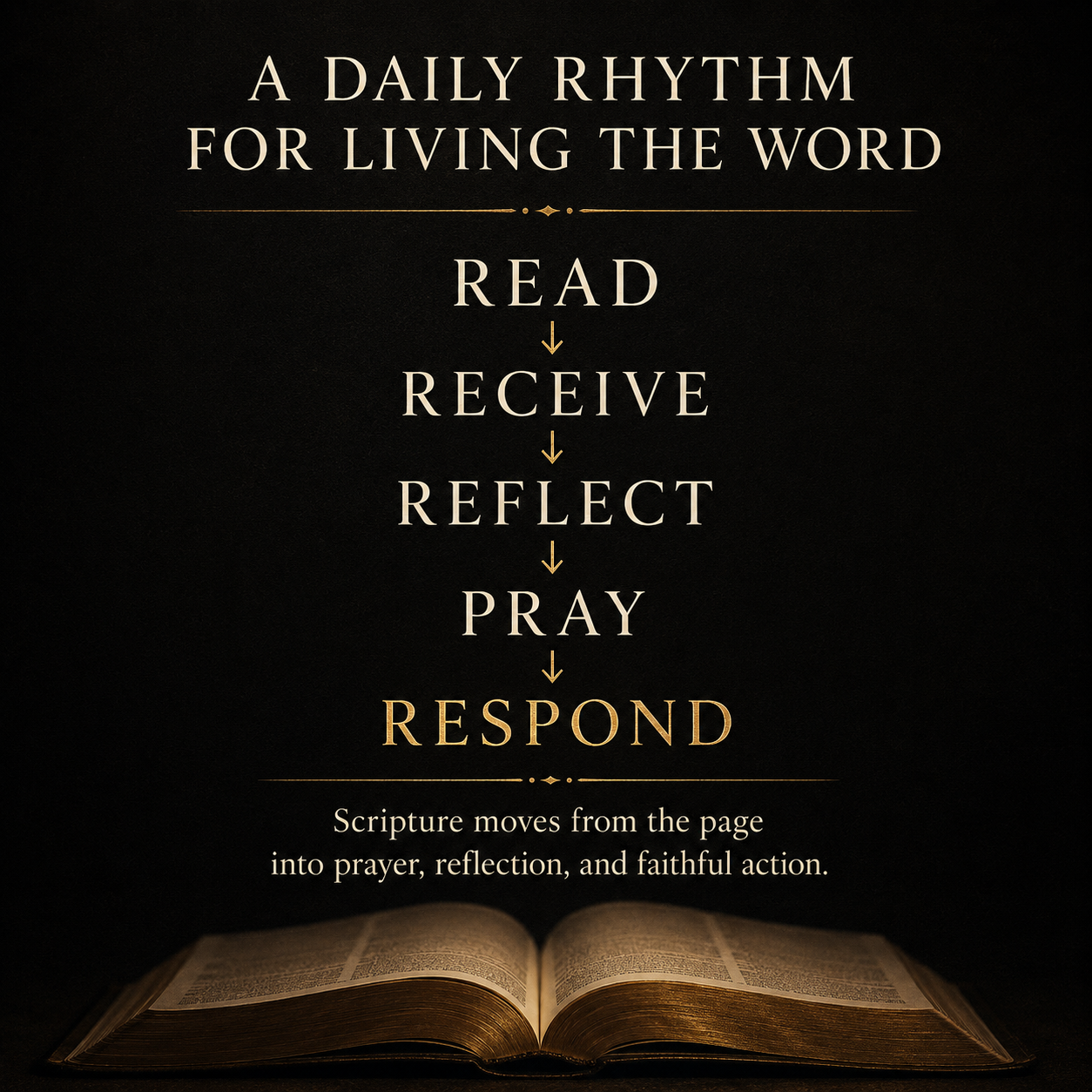 God’s Word as Living Medicine; Let It Form You | 90-Day Christian Devotional Bundle